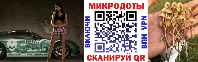 дарк нет как зайти  Лангепас  Галлюциногенные грибы мицелий 